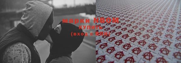 ГАЛЛЮЦИНОГЕННЫЕ ГРИБЫ Дмитриев