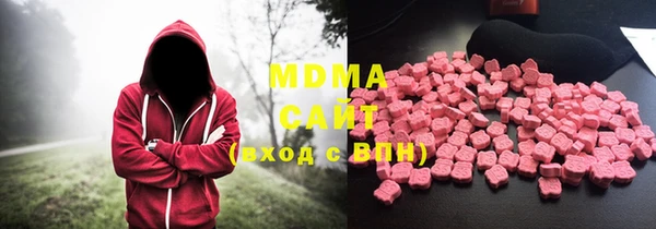 ГАЛЛЮЦИНОГЕННЫЕ ГРИБЫ Дмитриев