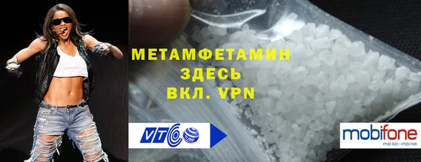 ГАЛЛЮЦИНОГЕННЫЕ ГРИБЫ Дмитриев
