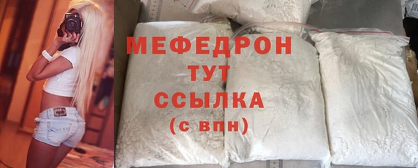 ГАЛЛЮЦИНОГЕННЫЕ ГРИБЫ Дмитриев