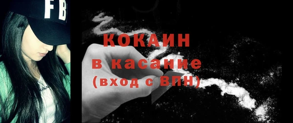 ГАЛЛЮЦИНОГЕННЫЕ ГРИБЫ Дмитриев