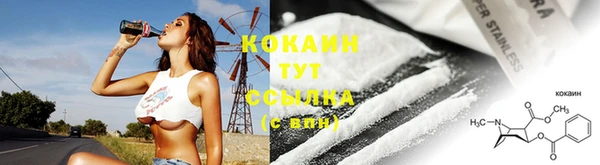 ГАЛЛЮЦИНОГЕННЫЕ ГРИБЫ Дмитриев