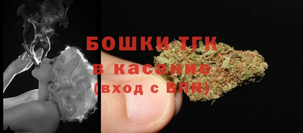 ГАЛЛЮЦИНОГЕННЫЕ ГРИБЫ Дмитриев