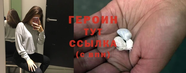 ГАЛЛЮЦИНОГЕННЫЕ ГРИБЫ Дмитриев