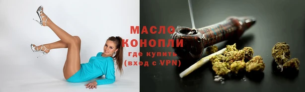 сатива Дмитровск