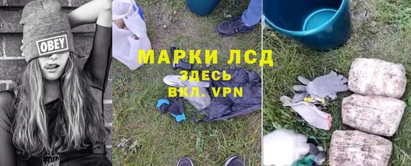 ГАЛЛЮЦИНОГЕННЫЕ ГРИБЫ Дмитриев