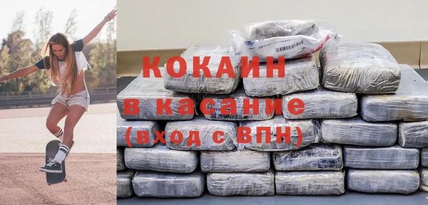 ГАЛЛЮЦИНОГЕННЫЕ ГРИБЫ Дмитриев
