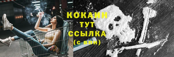 ГАЛЛЮЦИНОГЕННЫЕ ГРИБЫ Дмитриев