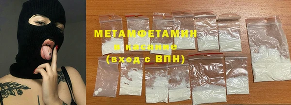 ГАЛЛЮЦИНОГЕННЫЕ ГРИБЫ Дмитриев