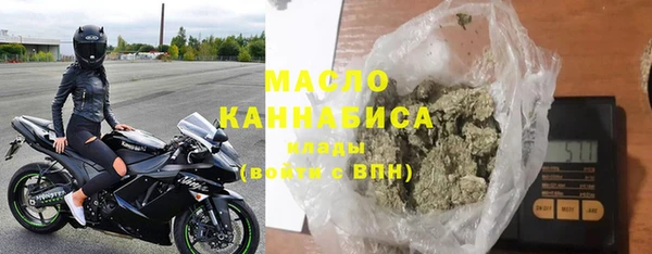 ГАЛЛЮЦИНОГЕННЫЕ ГРИБЫ Дмитриев