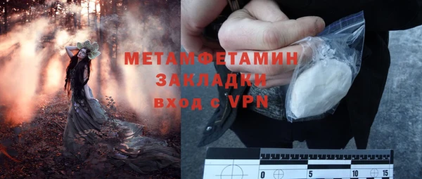 ГАЛЛЮЦИНОГЕННЫЕ ГРИБЫ Дмитриев