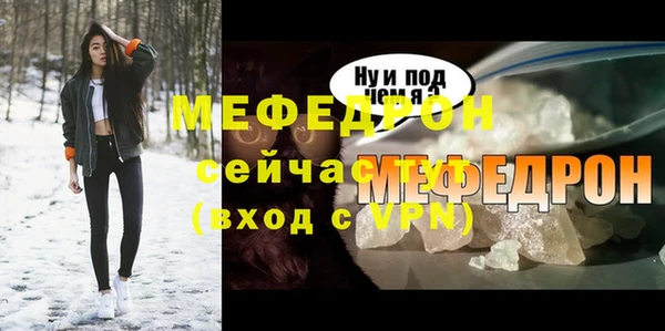 ГАЛЛЮЦИНОГЕННЫЕ ГРИБЫ Дмитриев