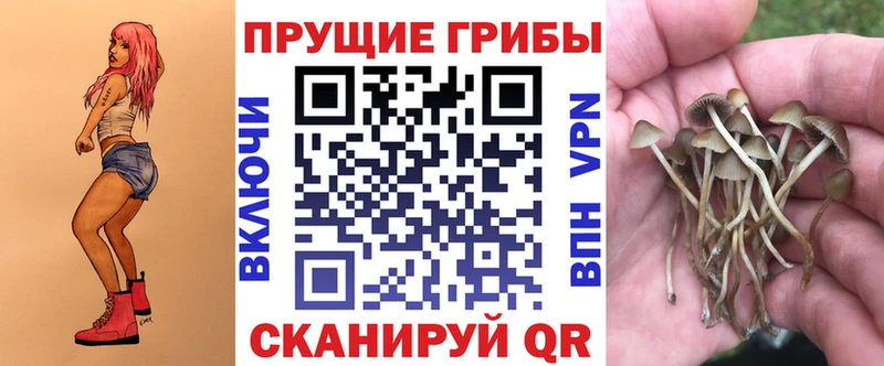 Псилоцибиновые грибы мухоморы  blacksprut ссылка  Онега  купить наркоту 